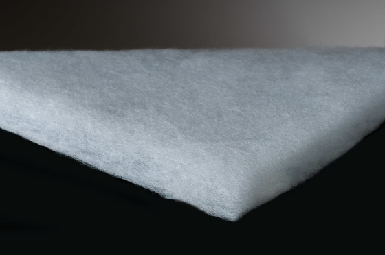 CHINA Minilab de Noritsu del filtro de aire proveedor