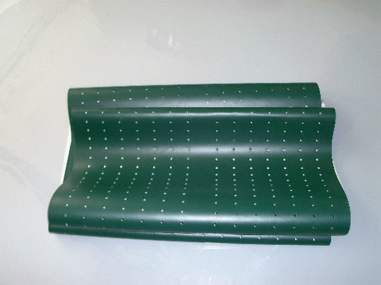 CHINA Cinturón verde de la pieza de Poli Laserlab 3049 Digital Minilab proveedor