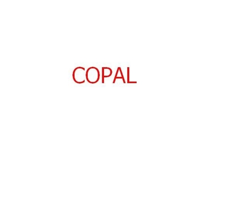 filtro químico para el copal 6030/6550 minilab 140x22x35m m proveedor