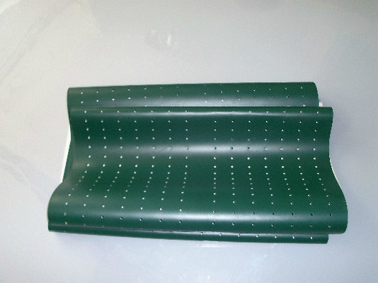 Cinturón verde de la pieza de Poli Laserlab 3049 Digital Minilab proveedor